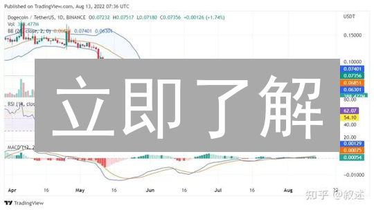 立即了解：狗狗币市值排名及投资价值分析 (最新)