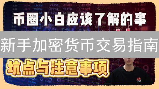 新手加密货币交易指南：像老手一样入门【策略+平台】