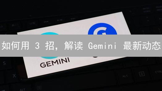 如何用 3 招，解读 Gemini 最新动态？