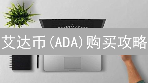 艾达币(ADA)购买攻略：币安 vs OKX，谁更胜一筹？【深度解析】