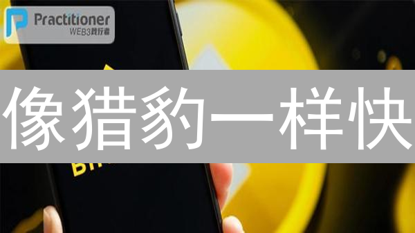 像猎豹一样快：Binance & HTX 加密交易加速指南 [实战]