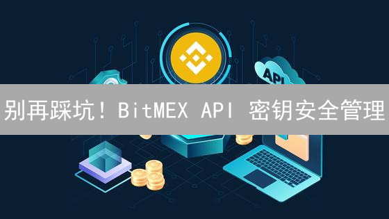 别再踩坑！BitMEX API 密钥安全管理：保住你的币！