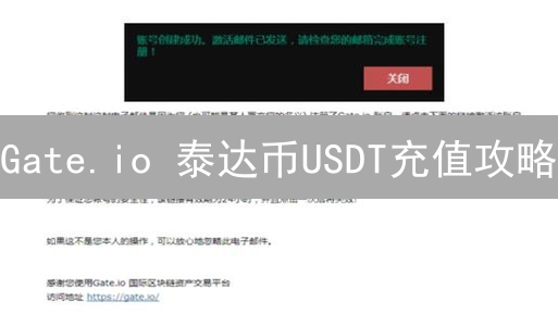 Gate.io 泰达币USDT充值攻略：新手必看【快速上手】