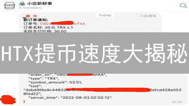 HTX提币速度大揭秘：告别漫长等待，极速到账攻略！