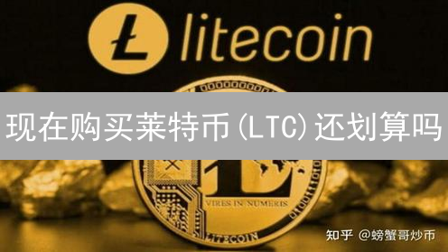 现在购买莱特币(LTC)还划算吗？HTX平台USDT交易教程速览！