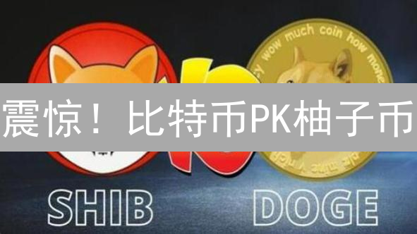 震惊！比特币PK柚子币：谁才是币圈的真香警告？