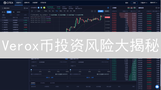 Verox币投资风险大揭秘：新手如何避坑？